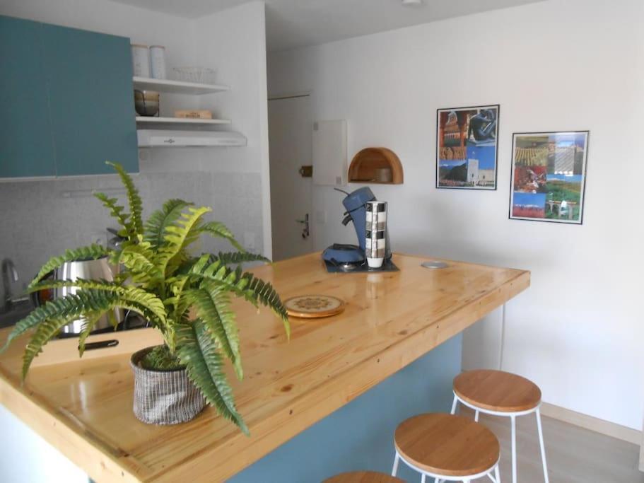 Appartement A La Plage Argelès-sur-Mer Eksteriør billede