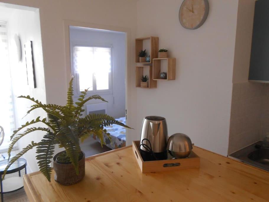 Appartement A La Plage Argelès-sur-Mer Eksteriør billede